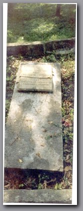 [Click to enlarge image]