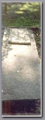 [Click to enlarge image]