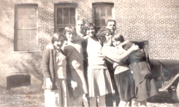 Description: Cleo Rose