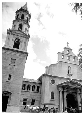 staug4_16.jpg