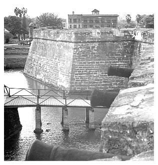 staug5a_20.jpg