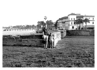 staug5c_22.jpg
