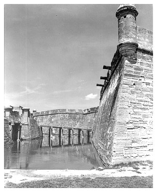 staug6a_24.jpg