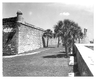 staug9a_32.jpg