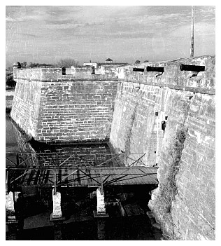 staug9d_35.jpg